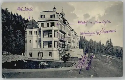 Schaufling Schaufling bei Deggendorf Sanatorium Hausstein ungelaufen ca. 1910 / Schaufling /Deggendorf LKR