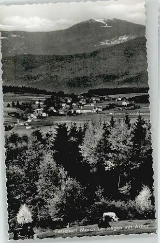 March Niederbayern March Niederbayern  ungelaufen ca. 1955 / Regen /Regen LKR