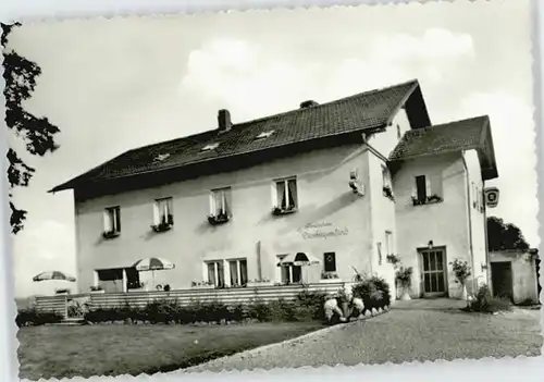 Preying Preying Pension Dreiburgenland ungelaufen ca. 1965 / Saldenburg /Freyung-Grafenau LKR