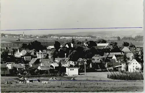Siegenburg  o 1966