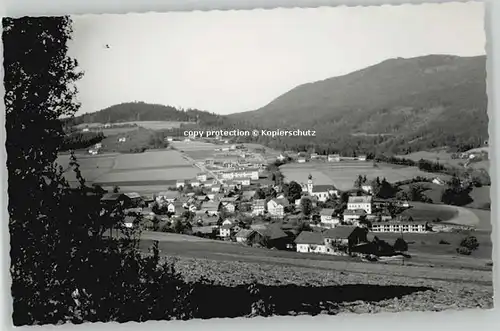 Rimbach  * 1965