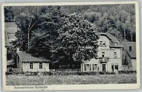 Goldmuehl Fichtelgebirge Gasthaus zum schwarzen Ross x 1933