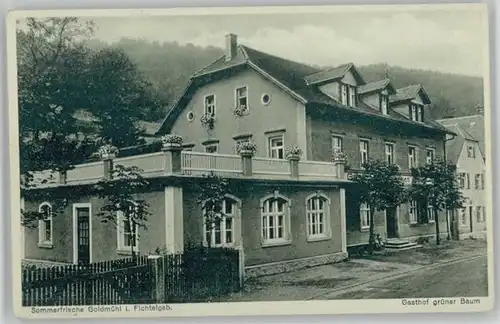 Goldmuehl Fichtelgebirge Gasthof gruener Baum * 1920