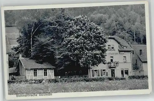 Goldmuehl Fichtelgebirge Goldmuehl Fichtelgebirge Gasthaus zum schwarzen Ross x 1933 / Bad Berneck i.Fichtelgeb. /Bayreuth LKR