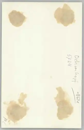 Ochsenkopf [Handschriftlich] * 1940
