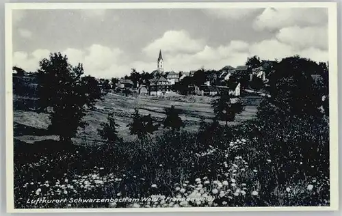 Schwarzenbach Wald  *