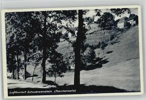Schwarzenstein Wald  x