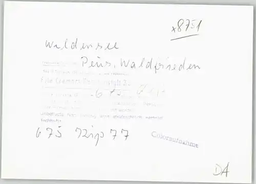 Wildensee Unterfranken Pension Waldfrieden *