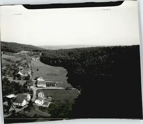 Wildensee Unterfranken Fliegeraufnahme *