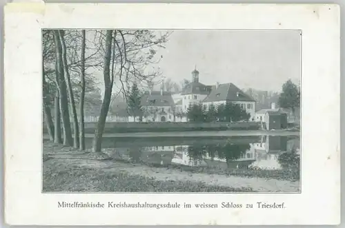 we22309 Triesdorf  Weisses Schloss x 1915 Kategorie. Weidenbach Alte Ansichtskarten