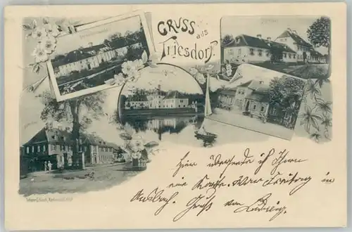 we22311 Triesdorf  Jaegerhaus Weisses Schloss x 1898 Kategorie. Weidenbach Alte Ansichtskarten