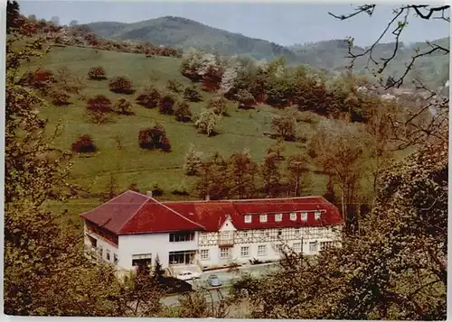 Winkel Odenwald Gasthaus Pension Zum Wiesengrund *