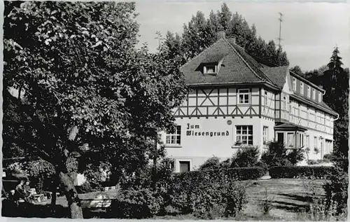 Winkel Odenwald Gasthaus Pension zum Wiesengrund *