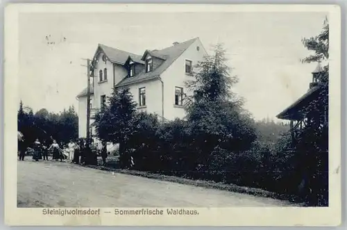 Steinigtwolmsdorf Waldhaus x