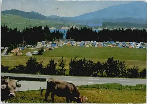 Rosshaupten Forggensee Campingplatz x