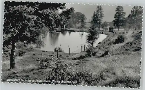 Frohnhausen Dillkreis Waldschwimmbad *