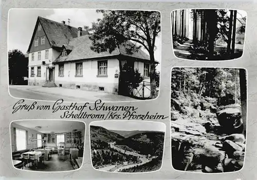 Schellbronn Gasthof Schwanen *