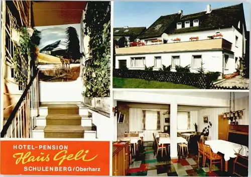 Schulenberg Oberharz Hotel Pension Haus Geli  *