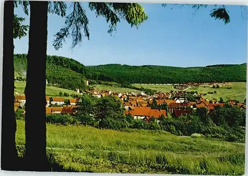 Wolfshagen Harz  *