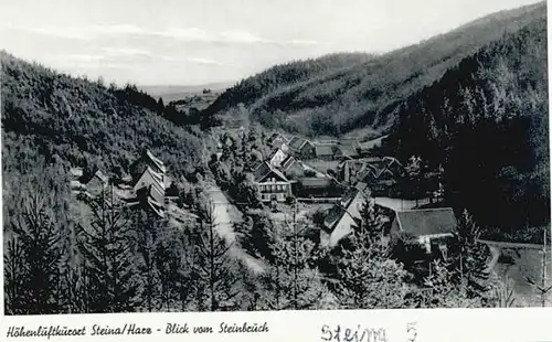 Steina Suedharz  *