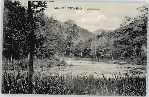 Manderscheid Eifel Manderscheid Eifel Burgweiher * / Manderscheid /Bernkastel-Wittlich LKR