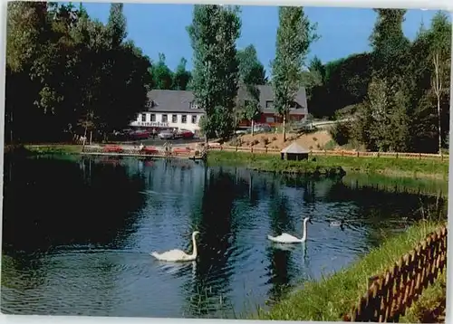 Manderscheid Eifel Manderscheid Eifel Hotel Cafe Heidsmuehle x / Manderscheid /Bernkastel-Wittlich LKR