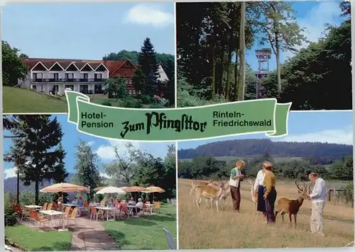 Friedrichswald Friedrichswald Hotel Pension Zum Pfingsttor * / Rinteln /Schaumburg LKR