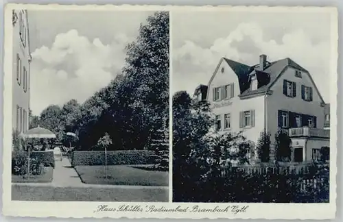 Bad Brambach Bad Brambach Haus Schueller * / Bad Brambach /Vogtlandkreis LKR