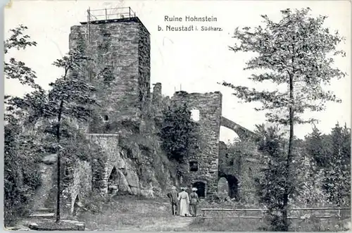 Neustadt Harz Ruine Hohnstein x