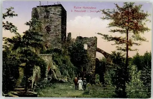 Neustadt Harz Ruine Hohnstein *
