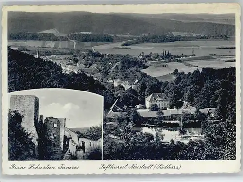 Neustadt Harz Ruine Hohnstein *