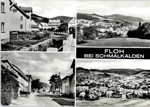 Floh-Seligenthal  *