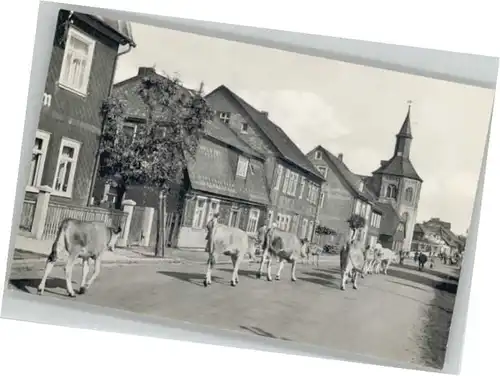 Neustadt Rennsteig  *