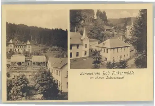 Bad Finkenmuehle Sanatorium *