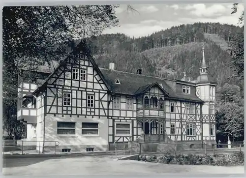 Bockschmiede Gasthaus zum Eisenhammer *