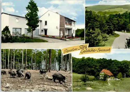 Dammbach Oberwintersbach Pension Faeth-Geishoehe *