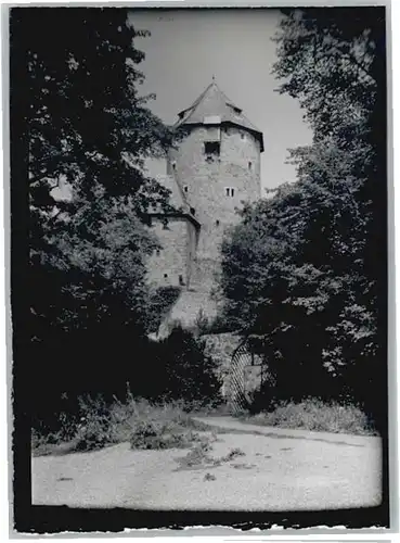Dalwigksthal Burg *