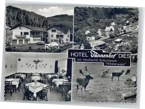 Dies Hotel Tannenhof *