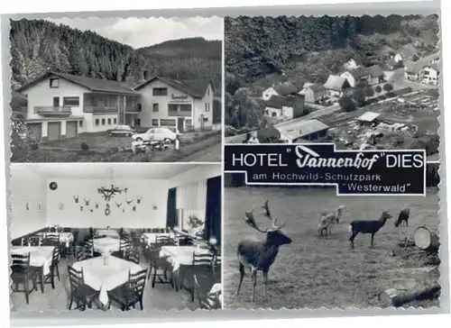 Dies Hotel Tannenhof *