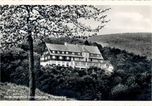 Oberbieber Hotel Waldhaus Wingertsberg x