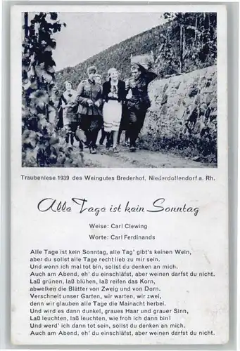 Niederdollendorf Weinlese Weingut Brederhof Gedicht *