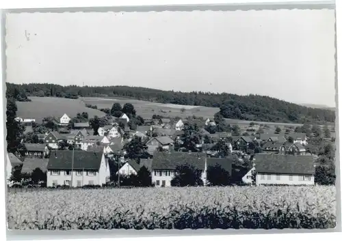 Berghausen Koeln Berghausen  *