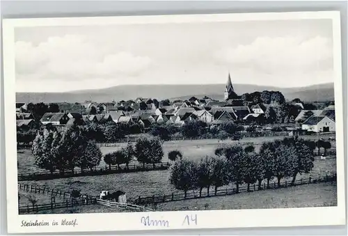 Steinheim Westfalen  *