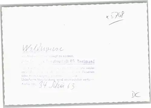 Wildewiese  *
