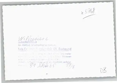 Wildewiese  *