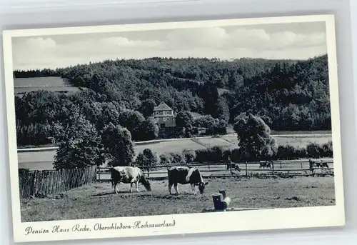 Oberschledorn Pension Haus Recke *