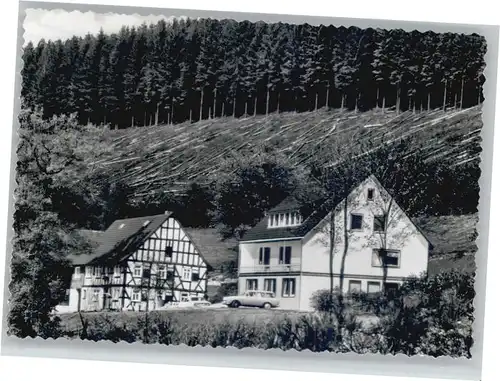 Berghausen Wittgenstein Pension Hof Forstbach *