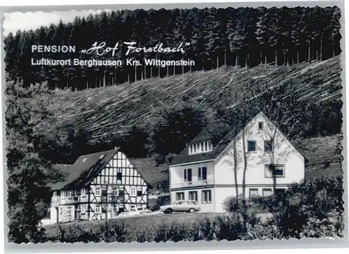 Berghausen Wittgenstein Pension Hof Forstbach *
