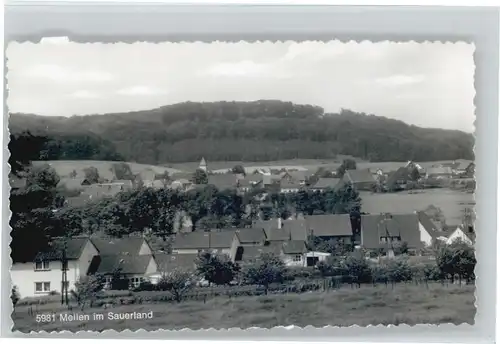 Mellen Sauerland  *