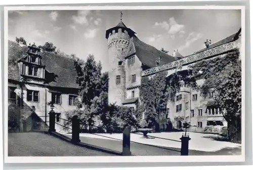 Steinbach Michelstadt Schloss Fuerstenau *